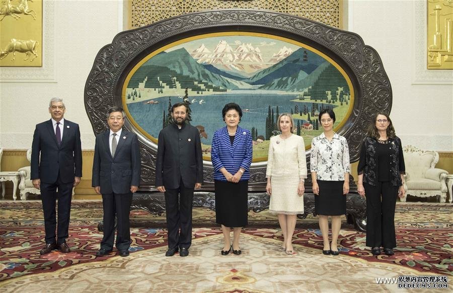 CHINA-BEIJING-LIU YANDONG-BRICS-EDUCATION-MEETING (CN)