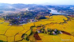 Autumn scenery in east Chinas Anhui