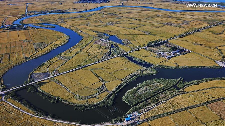 CHINA-JILIN-BAICHENG-PADDY FIELD (CN)